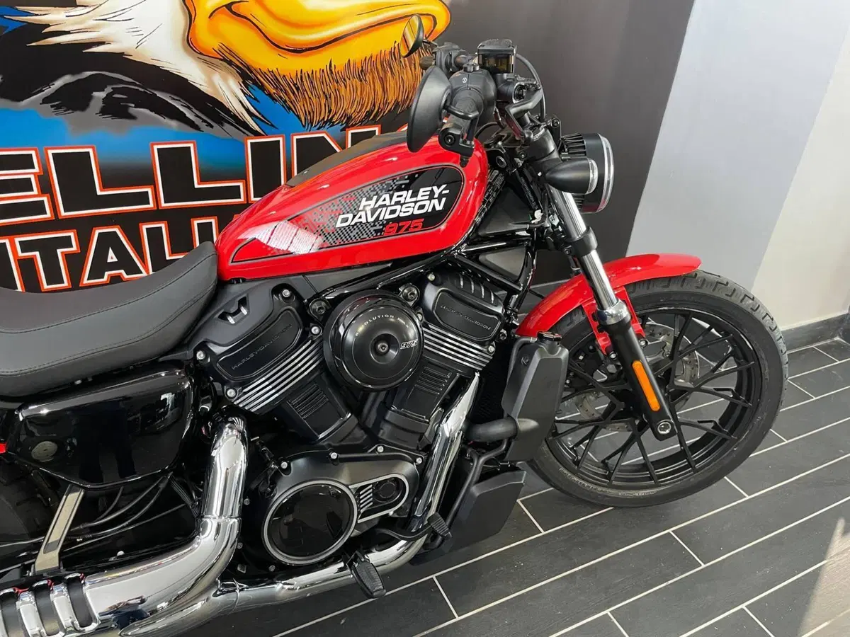 Harley-Davidson Nightster (2023 - 26) (3)