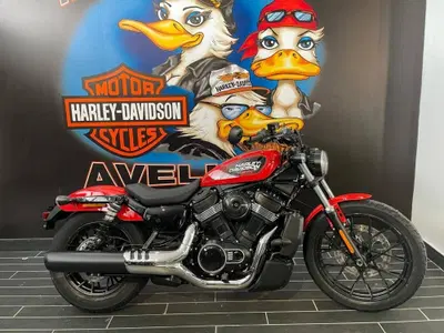 Harley-Davidson Nightster (2023 - 26) nuova
