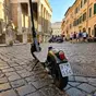 Monopattini a Roma: la folle caccia alle targhe