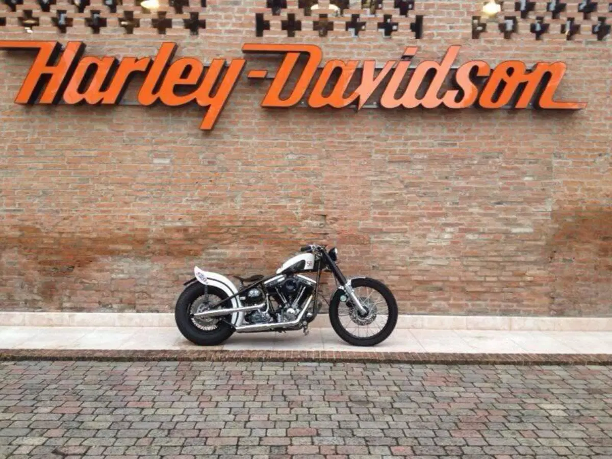 Harley-Davidson modello unico 
