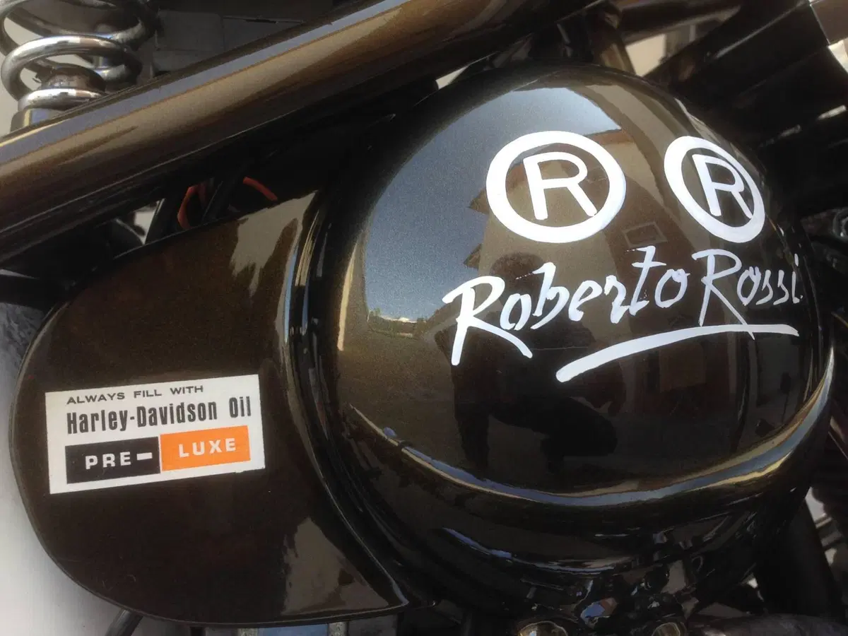 Harley-Davidson modello unico  (4)