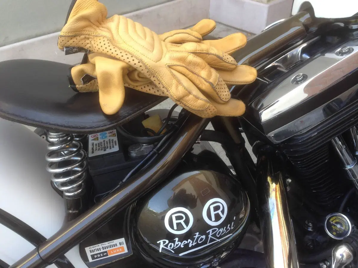 Harley-Davidson modello unico  (5)