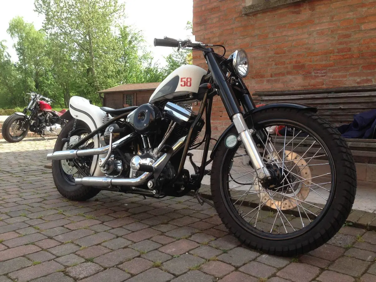 Harley-Davidson modello unico  (8)