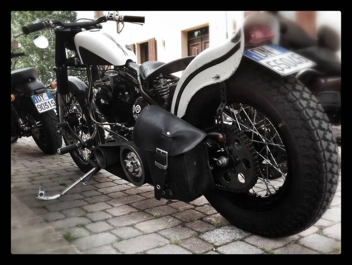 Harley-Davidson modello unico  (10)