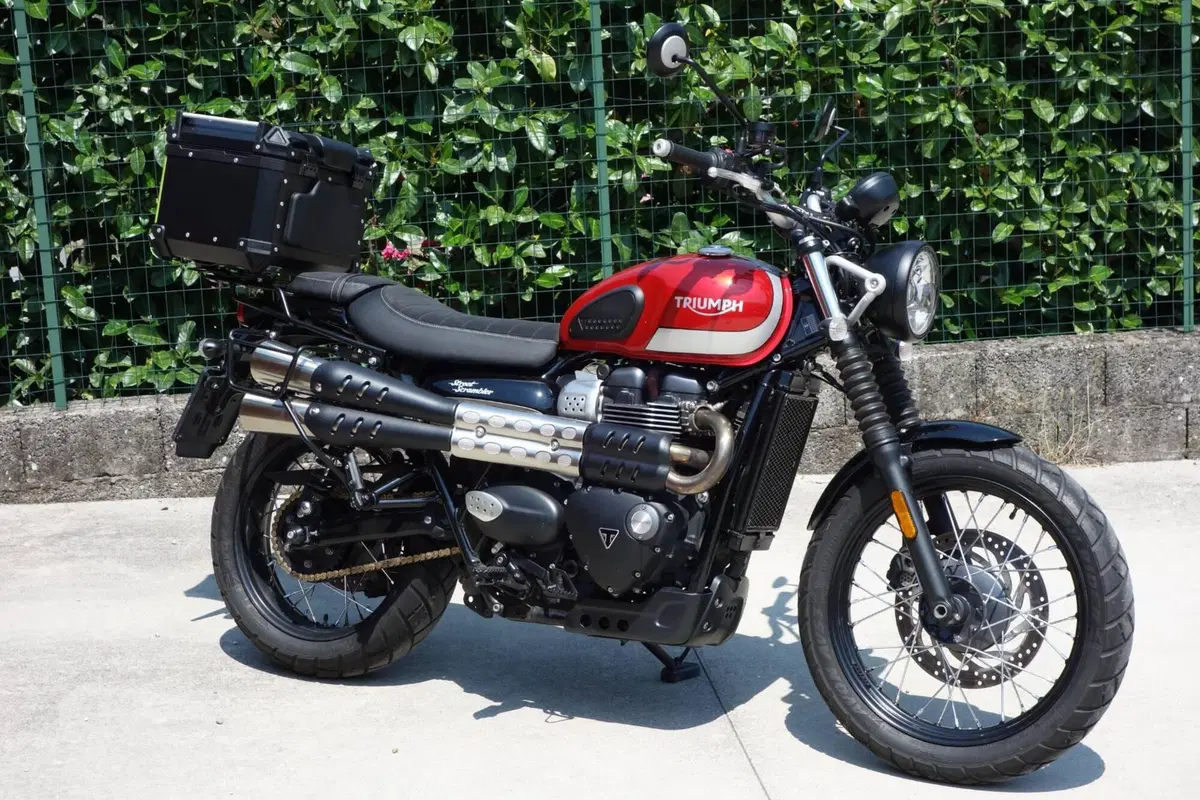 Triumph Street Scrambler 900 (2017 - 18)