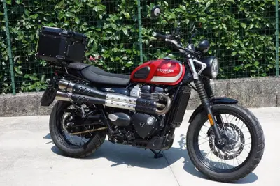 Triumph Street Scrambler 900 (2017 - 18) usata