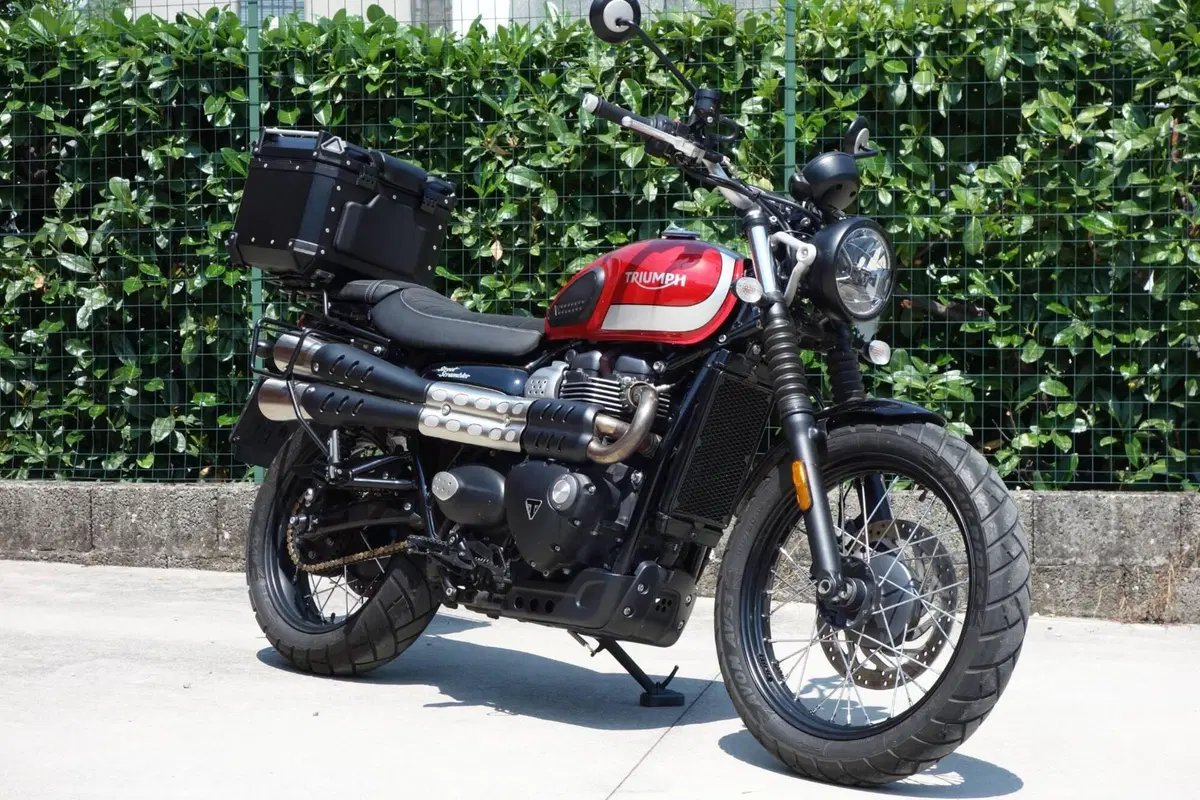 Triumph Street Scrambler 900 (2017 - 18) (2)