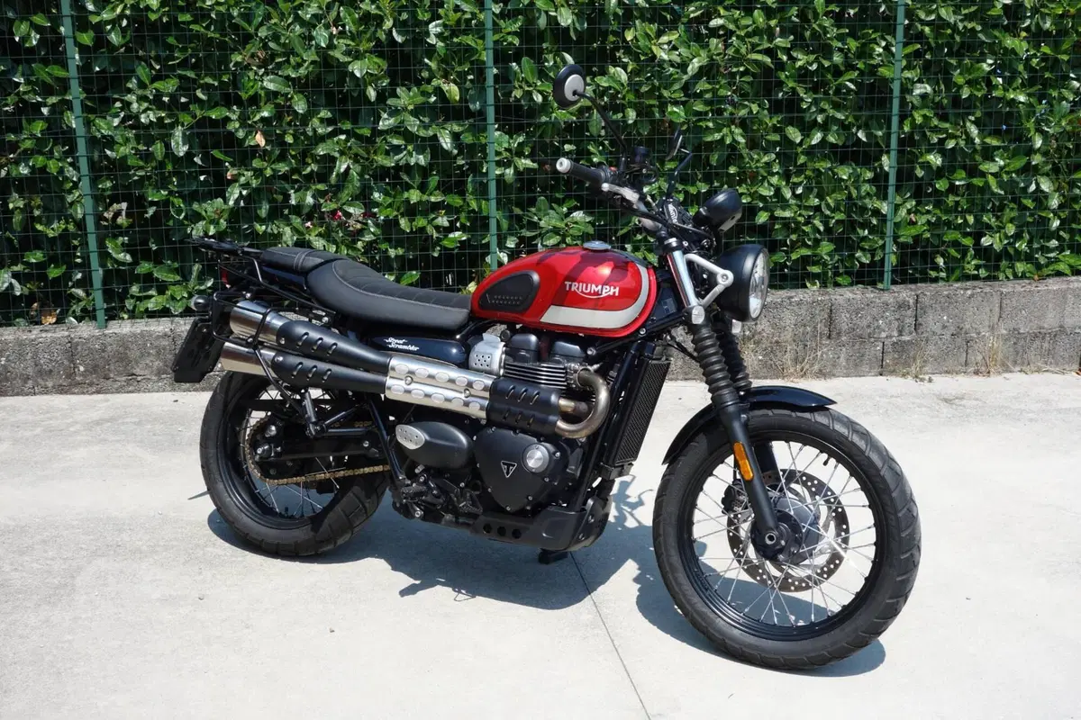 Triumph Street Scrambler 900 (2017 - 18) (3)