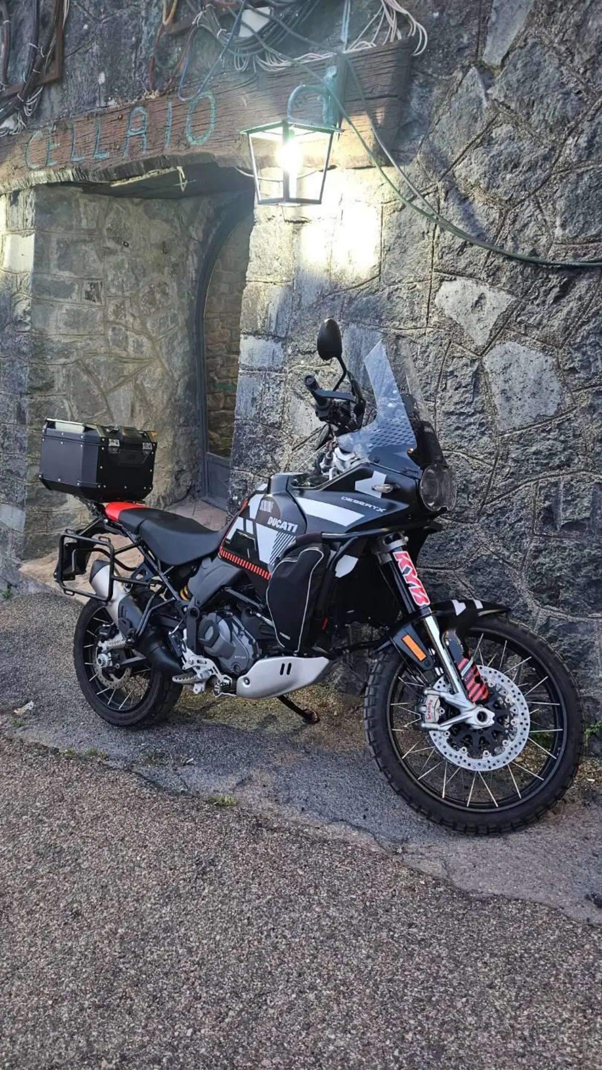 Ducati DesertX (2022 - 25) (4)