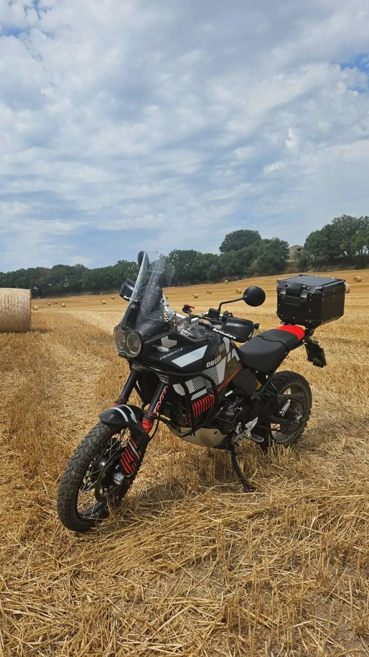 Ducati DesertX (2022 - 25) (2)