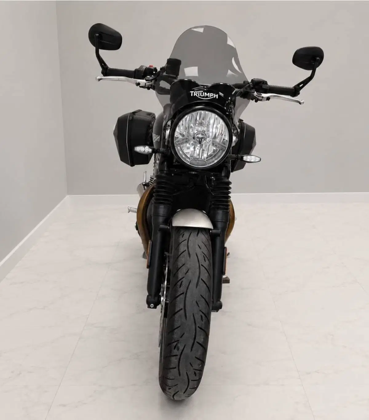 Triumph Speed Twin 1200 (2019 - 20) (6)