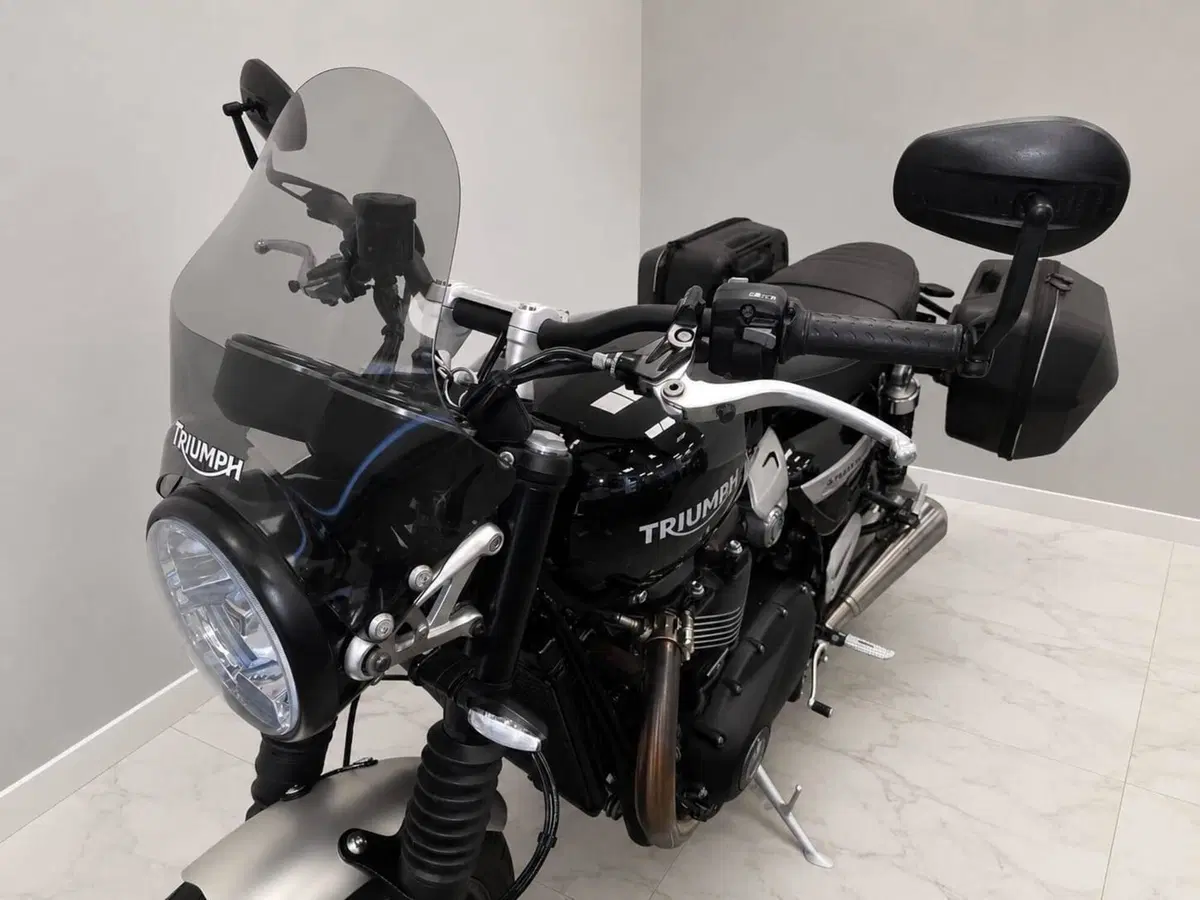 Triumph Speed Twin 1200 (2019 - 20) (10)