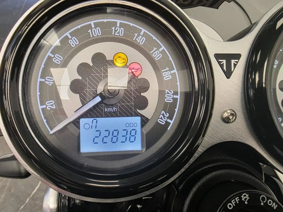 Triumph Speed Twin 1200 (2019 - 20) (16)