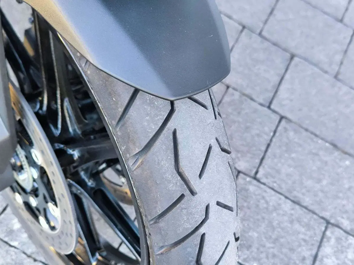 Suzuki V-Strom 800SE (2023 - 24) (5)