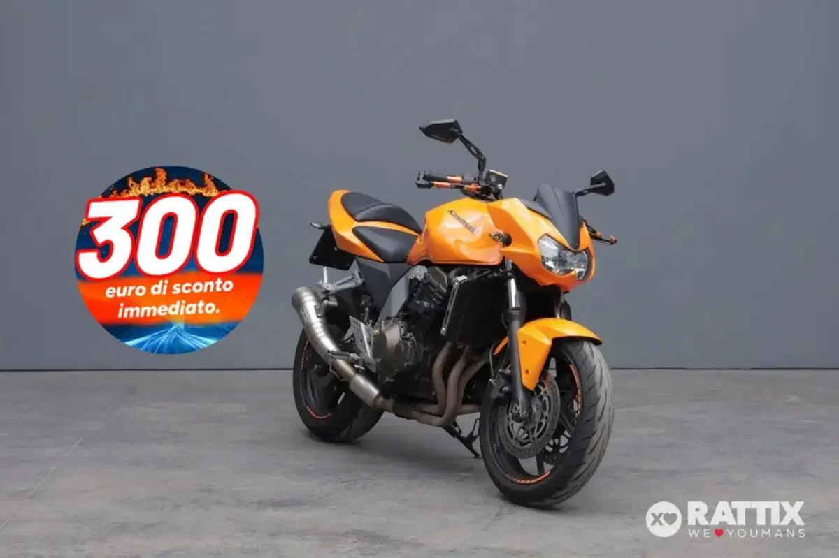 Kawasaki Z 750 (2003 - 06)
