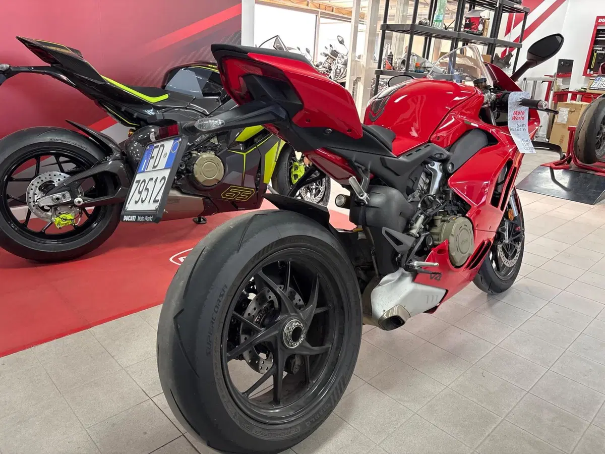 Ducati Panigale V4 (2022 - 24) (4)