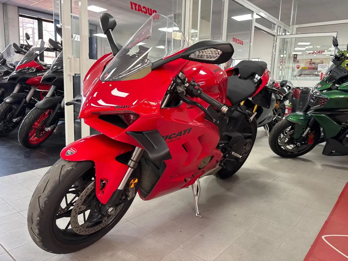 Ducati Panigale V4 (2022 - 24) (7)