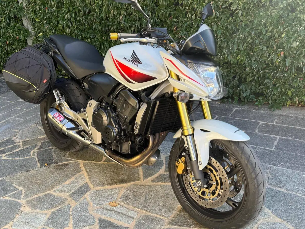 Honda Hornet 600 (2007 - 10)