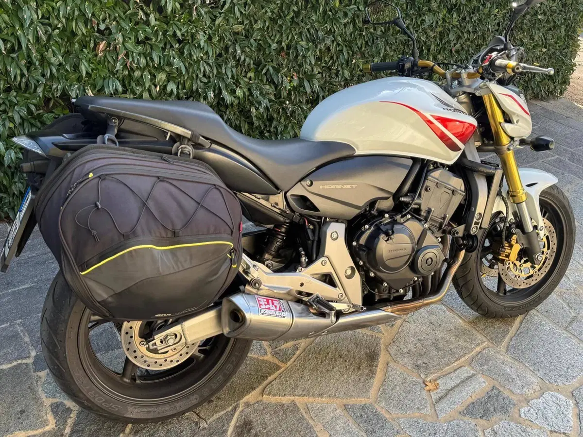 Honda Hornet 600 (2007 - 10) (2)