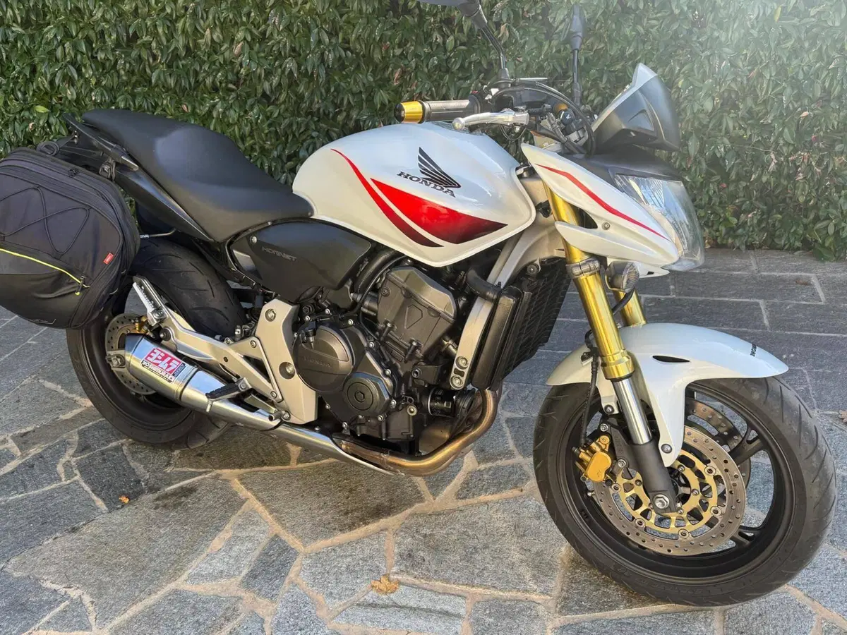 Honda Hornet 600 (2007 - 10) (5)