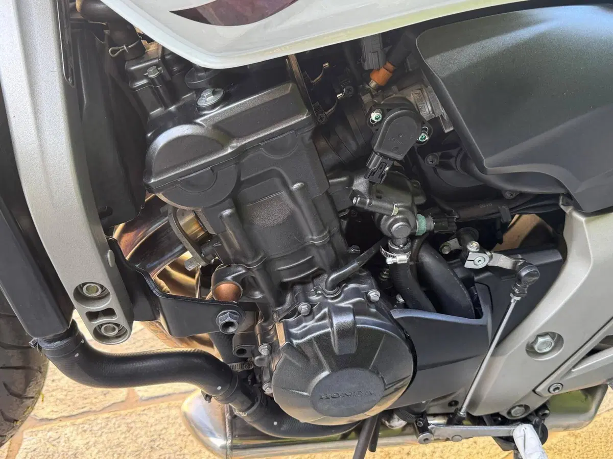 Honda Hornet 600 (2007 - 10) (7)