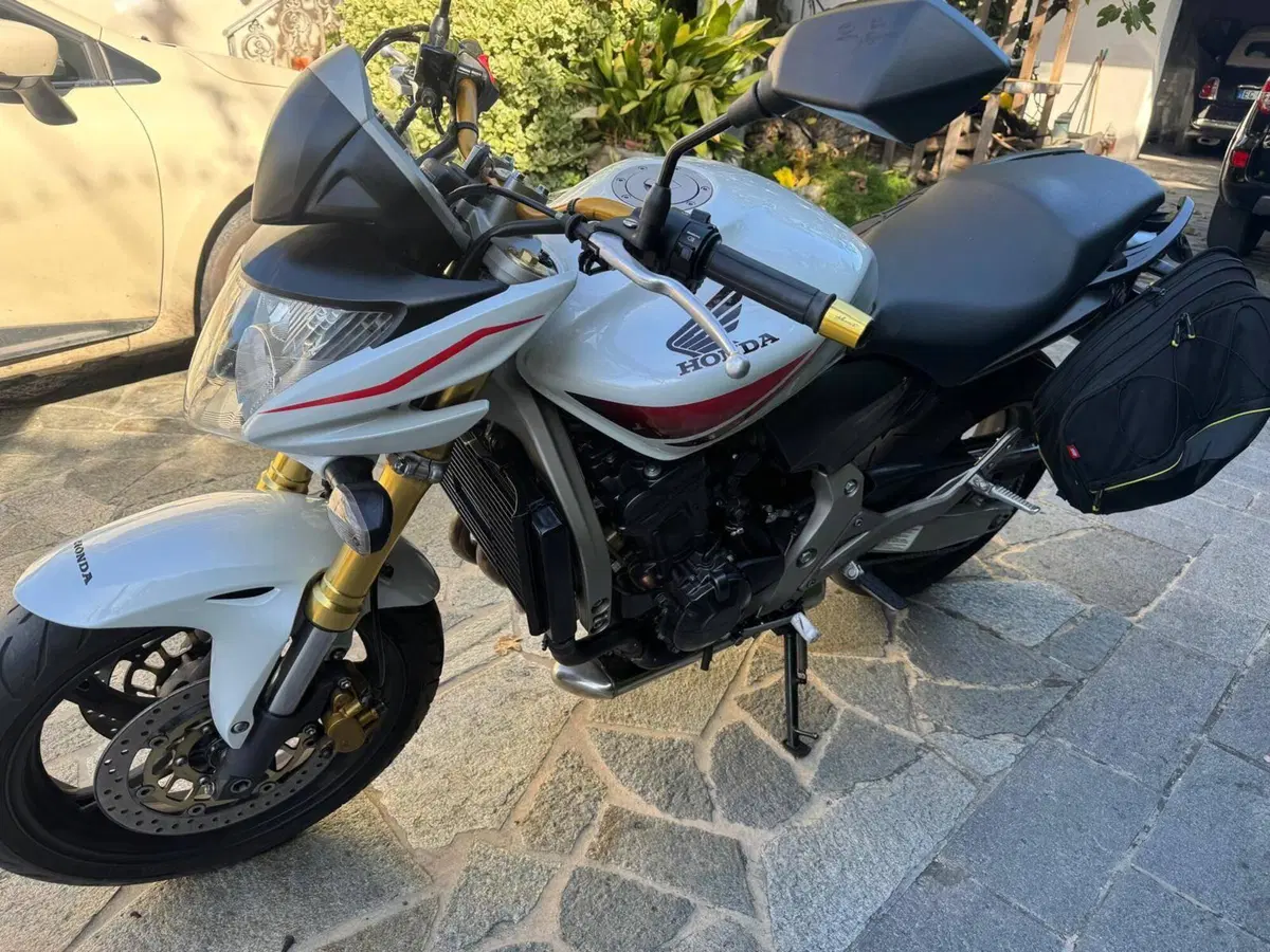 Honda Hornet 600 (2007 - 10) (8)