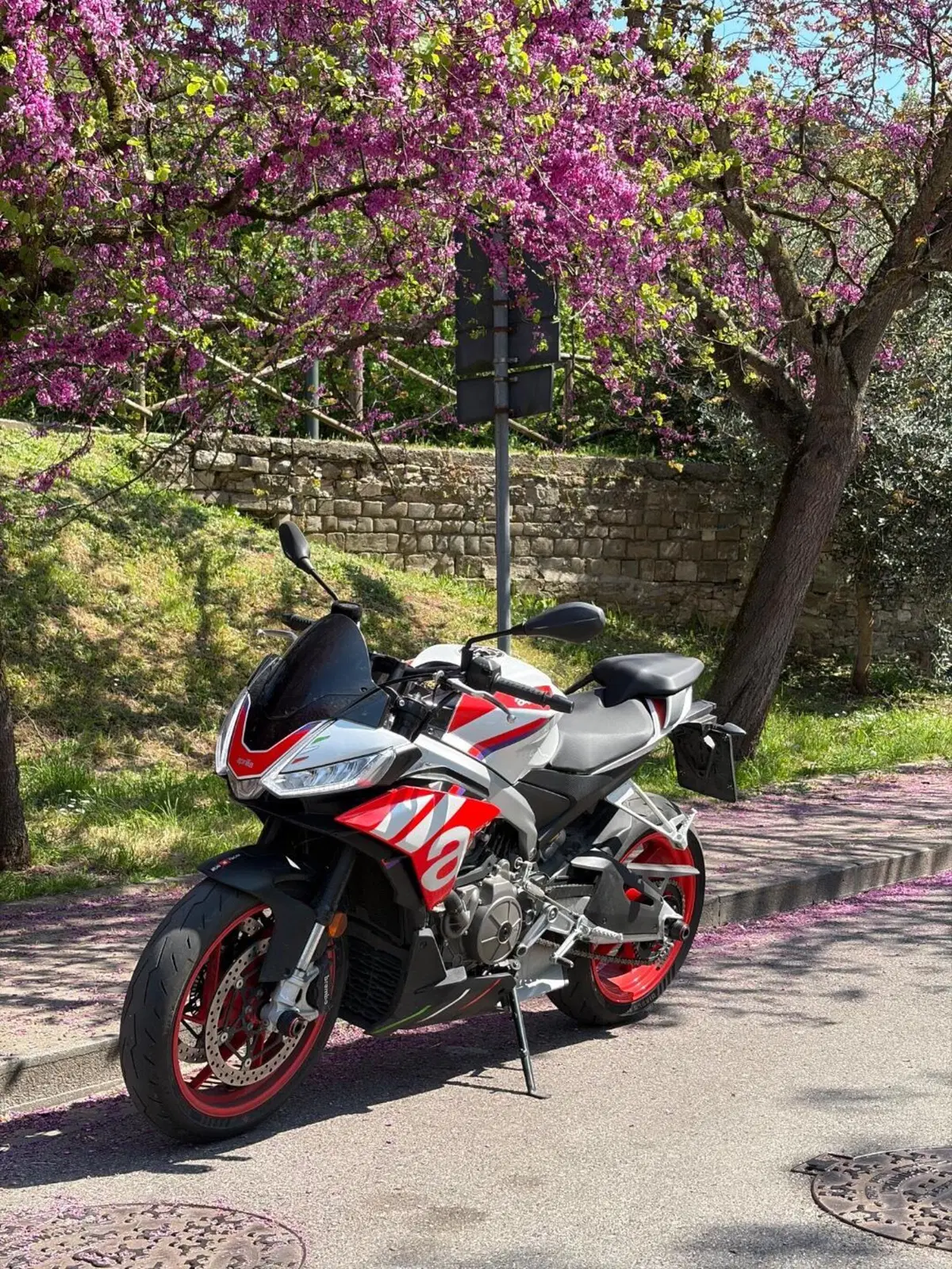Aprilia Tuono 660 Factory (2022 - 24) (2)