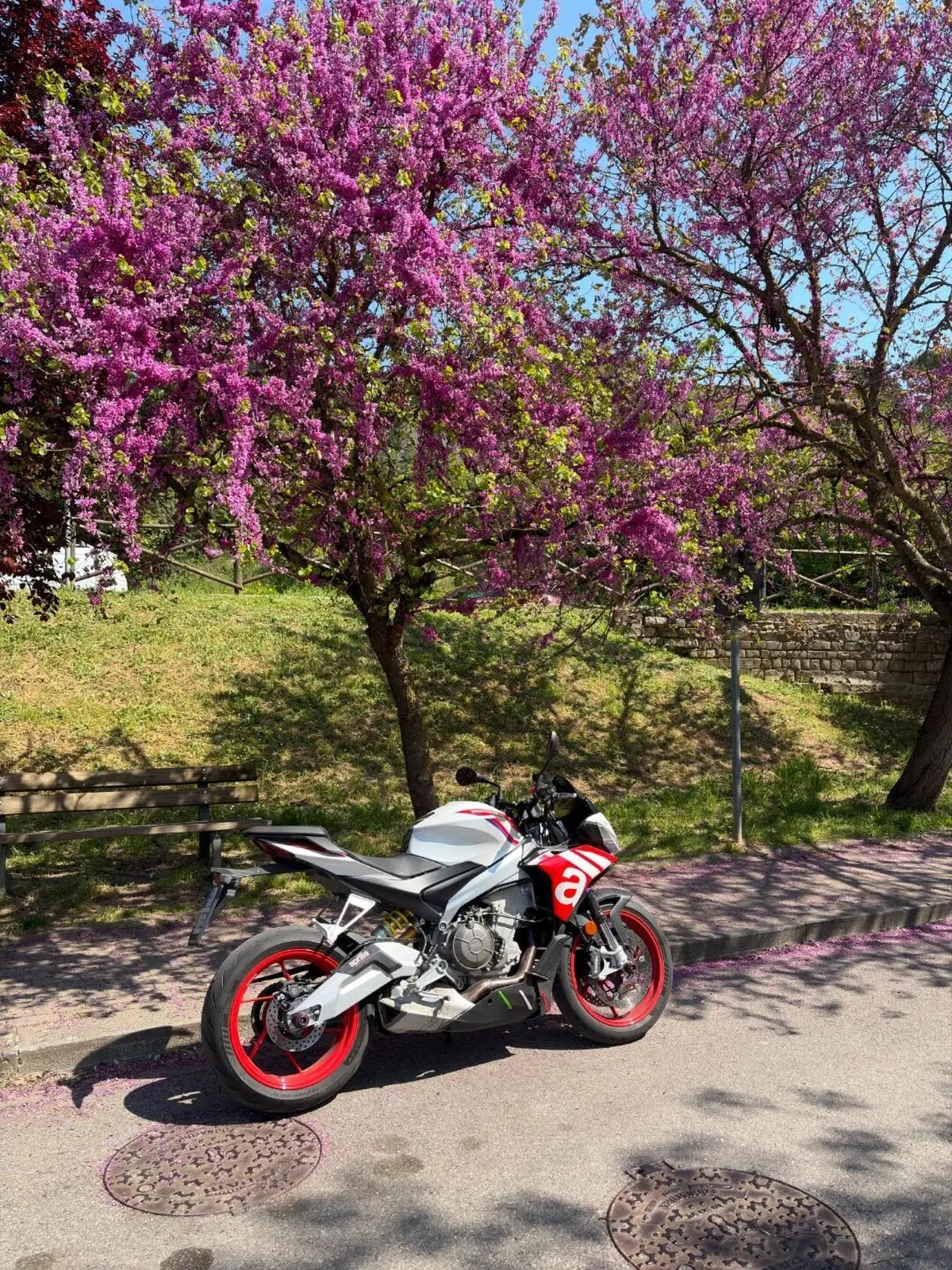 Aprilia Tuono 660 Factory (2022 - 24) (3)