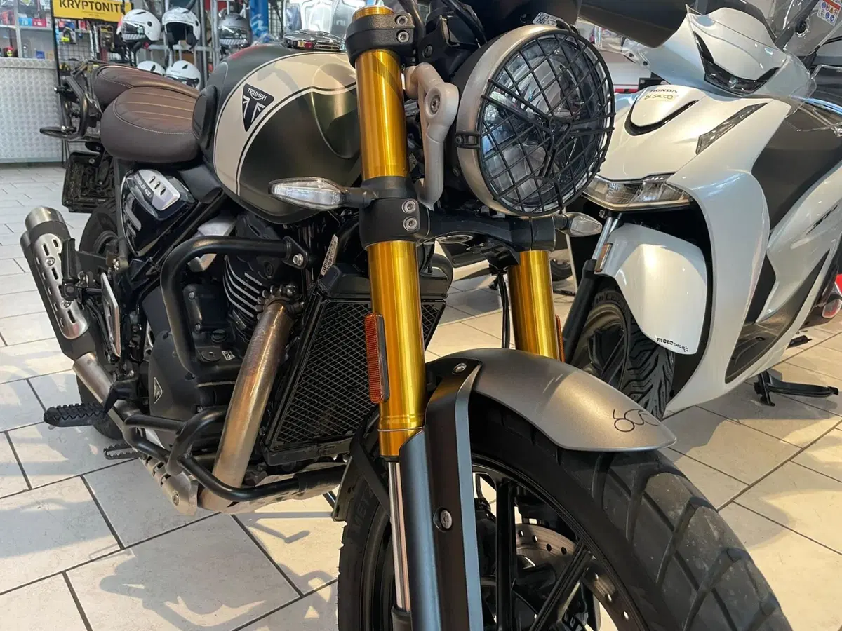 Triumph Scrambler 400 X (2024 - 26) (8)