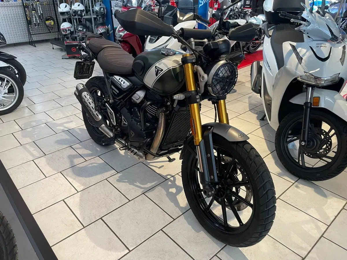 Triumph Scrambler 400 X (2024 - 26)