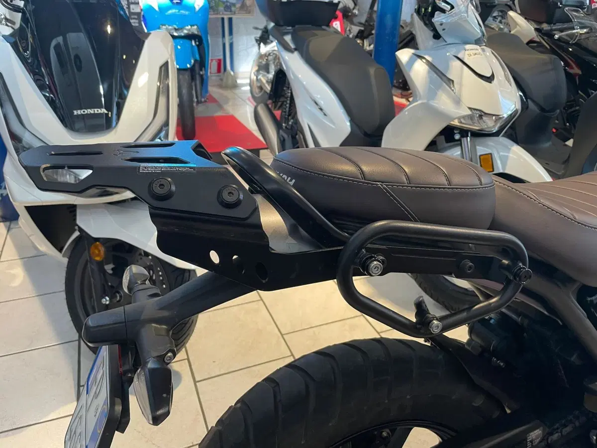 Triumph Scrambler 400 X (2024 - 26) (9)