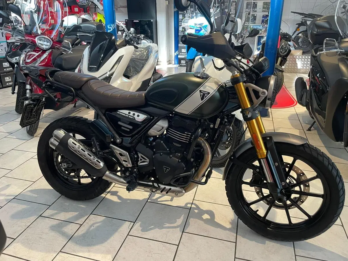 Triumph Scrambler 400 X (2024 - 26) (10)