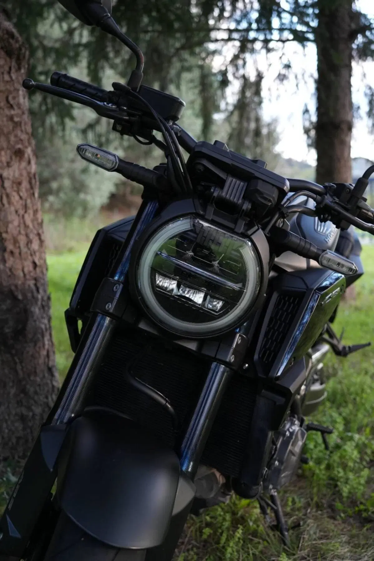 Honda CB 650 R (2021 - 23) (2)