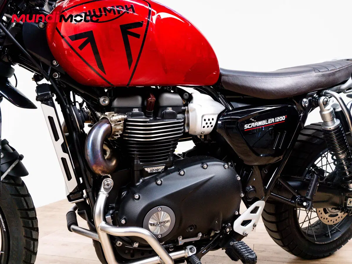 Triumph Scrambler 1200 X (2024 - 26) (9)