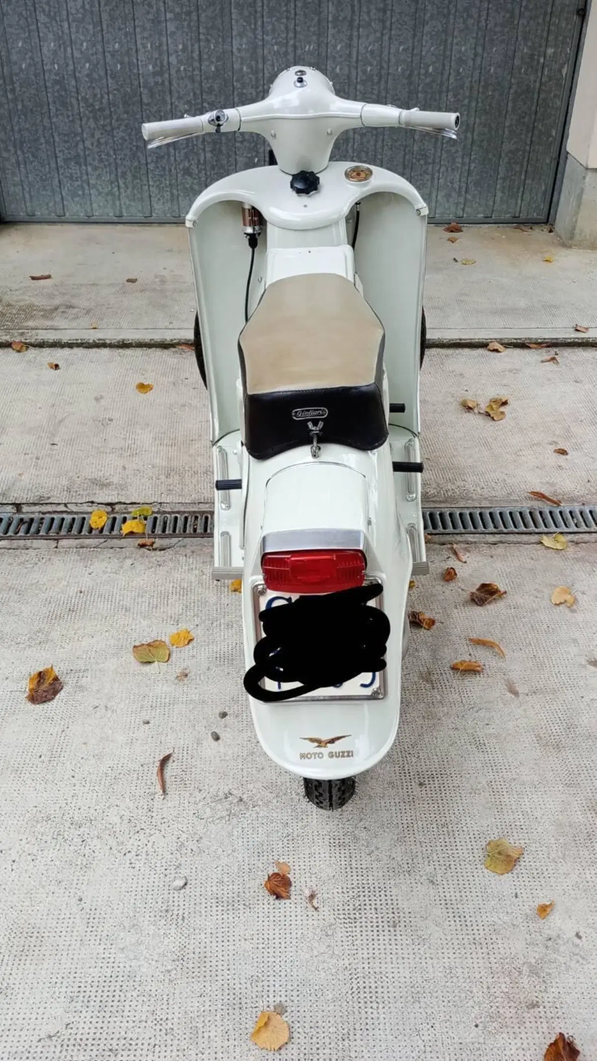 Moto Guzzi Galletto 192 ae (4)