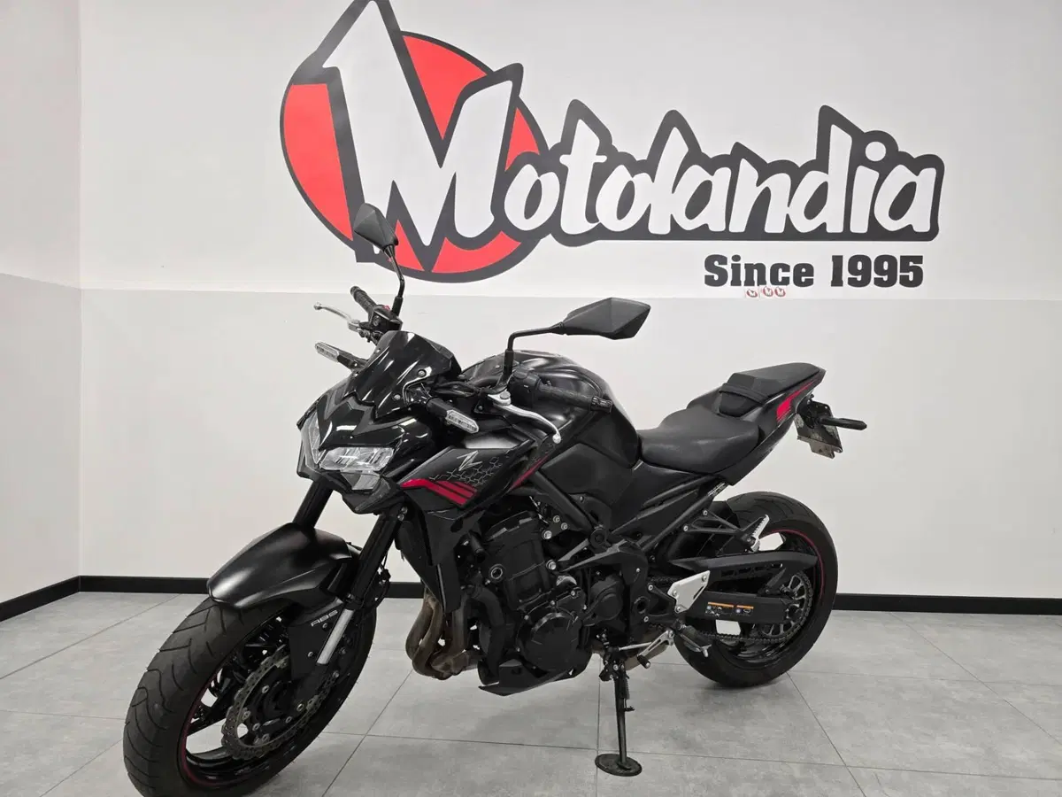 Kawasaki Z 900 (2020) (2)
