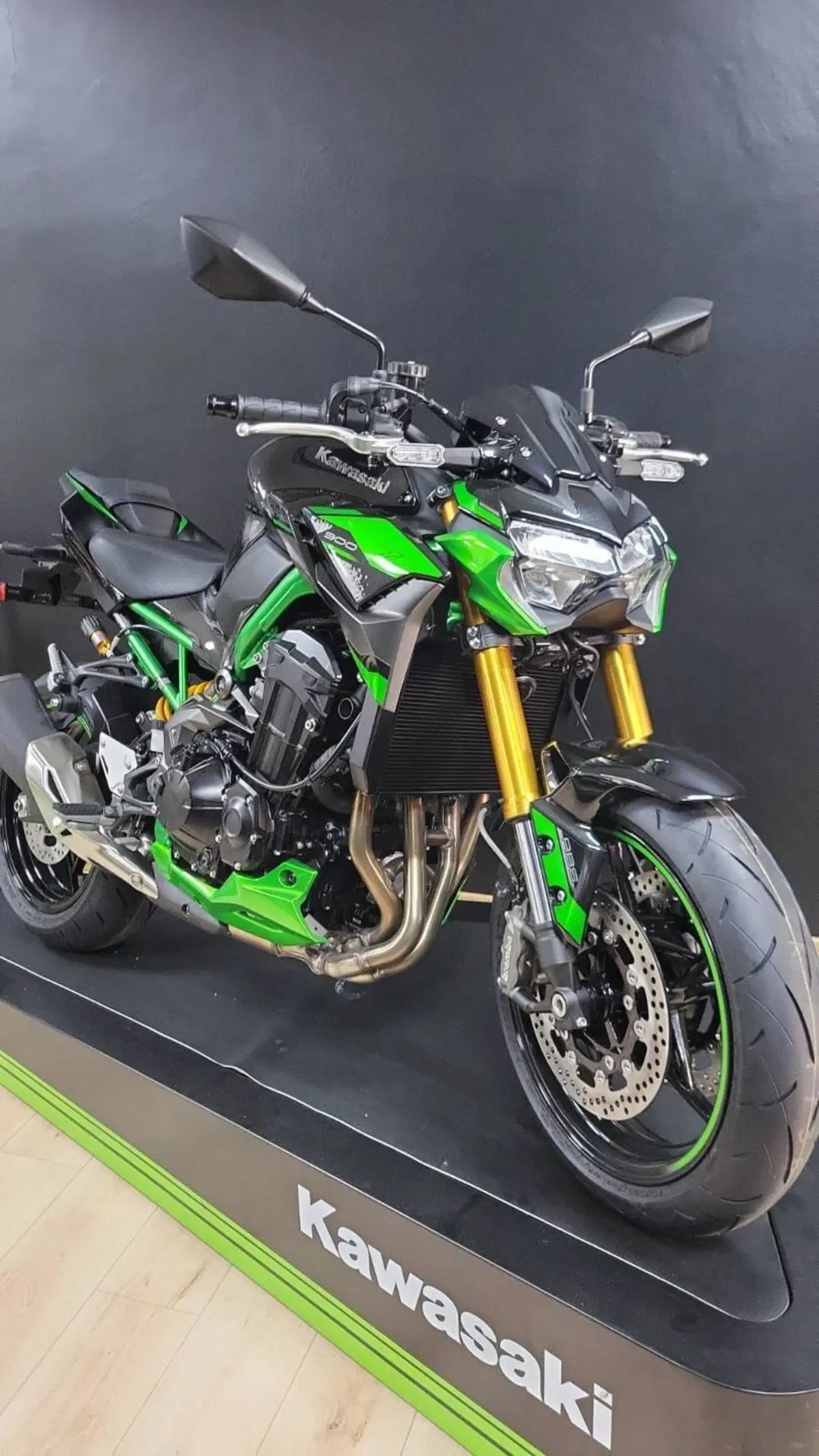 Kawasaki Z 900 SE Performance (2023 - 24) (4)