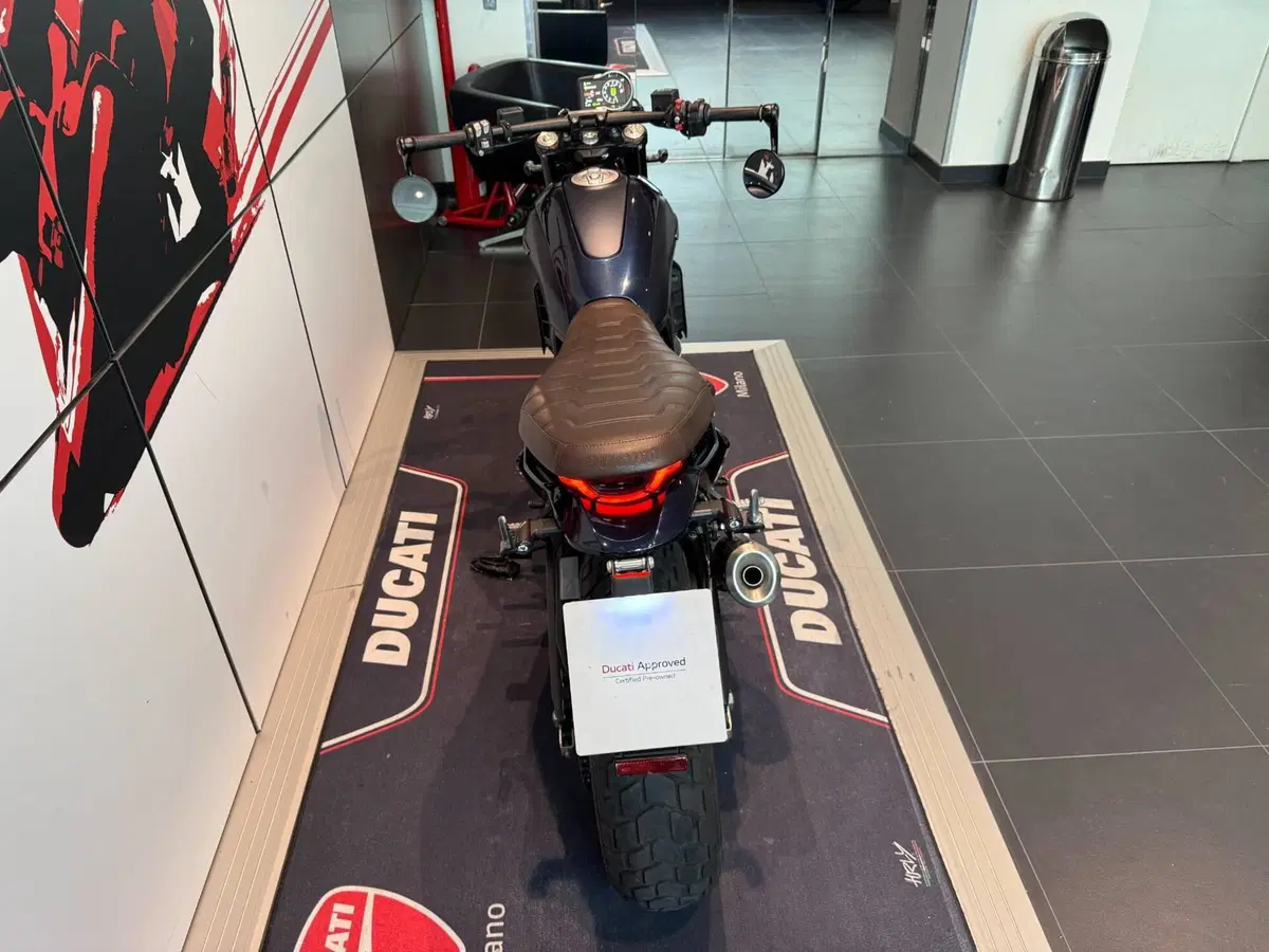 Ducati Scrambler 800 Nightshift (2023 - 24) (9)