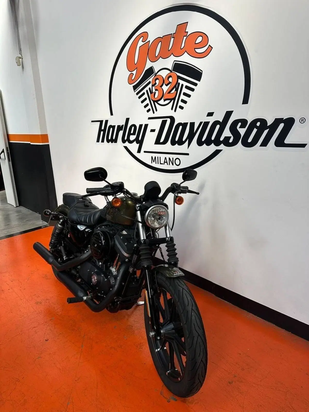 Harley-Davidson 883 Iron (2014 - 16) - XL 883N (2)