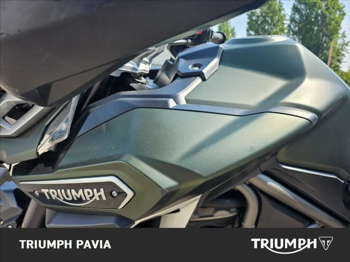Triumph Tiger 1200 XCa (2018 - 20) (9)