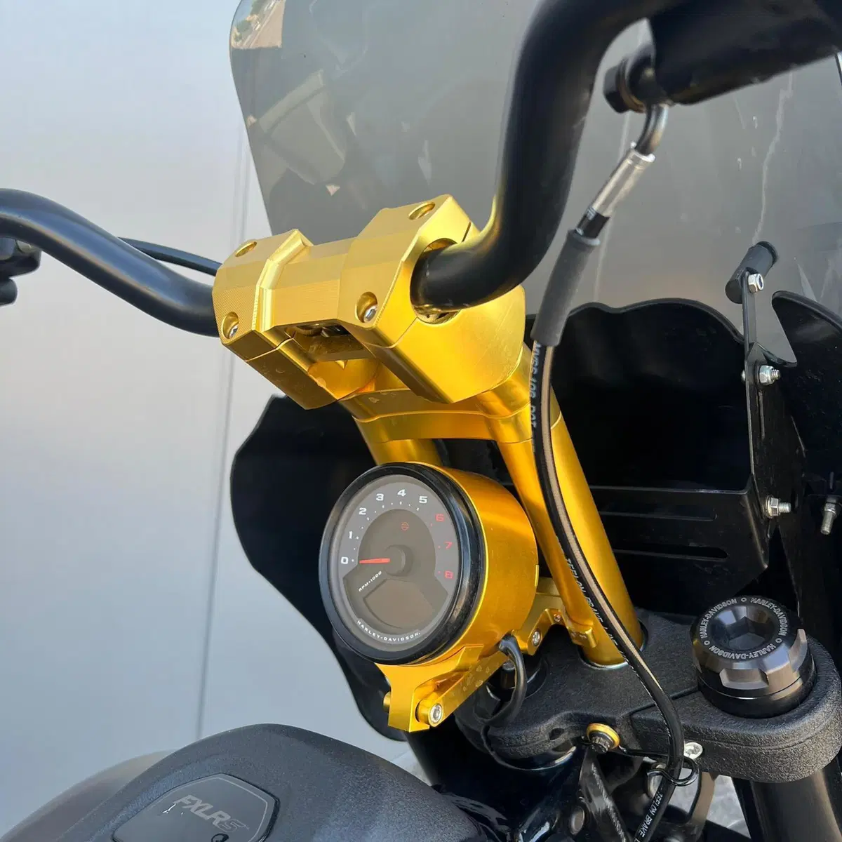 Harley-Davidson Low Rider S (2022 - 24) (5)