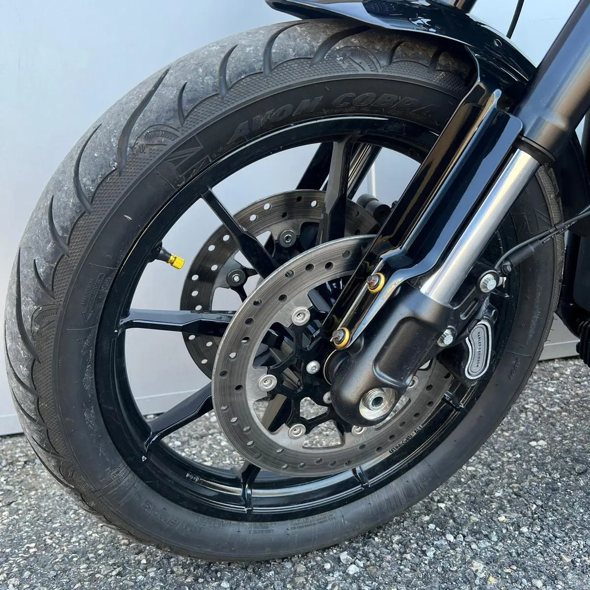 Harley-Davidson Low Rider S (2022 - 24) (20)