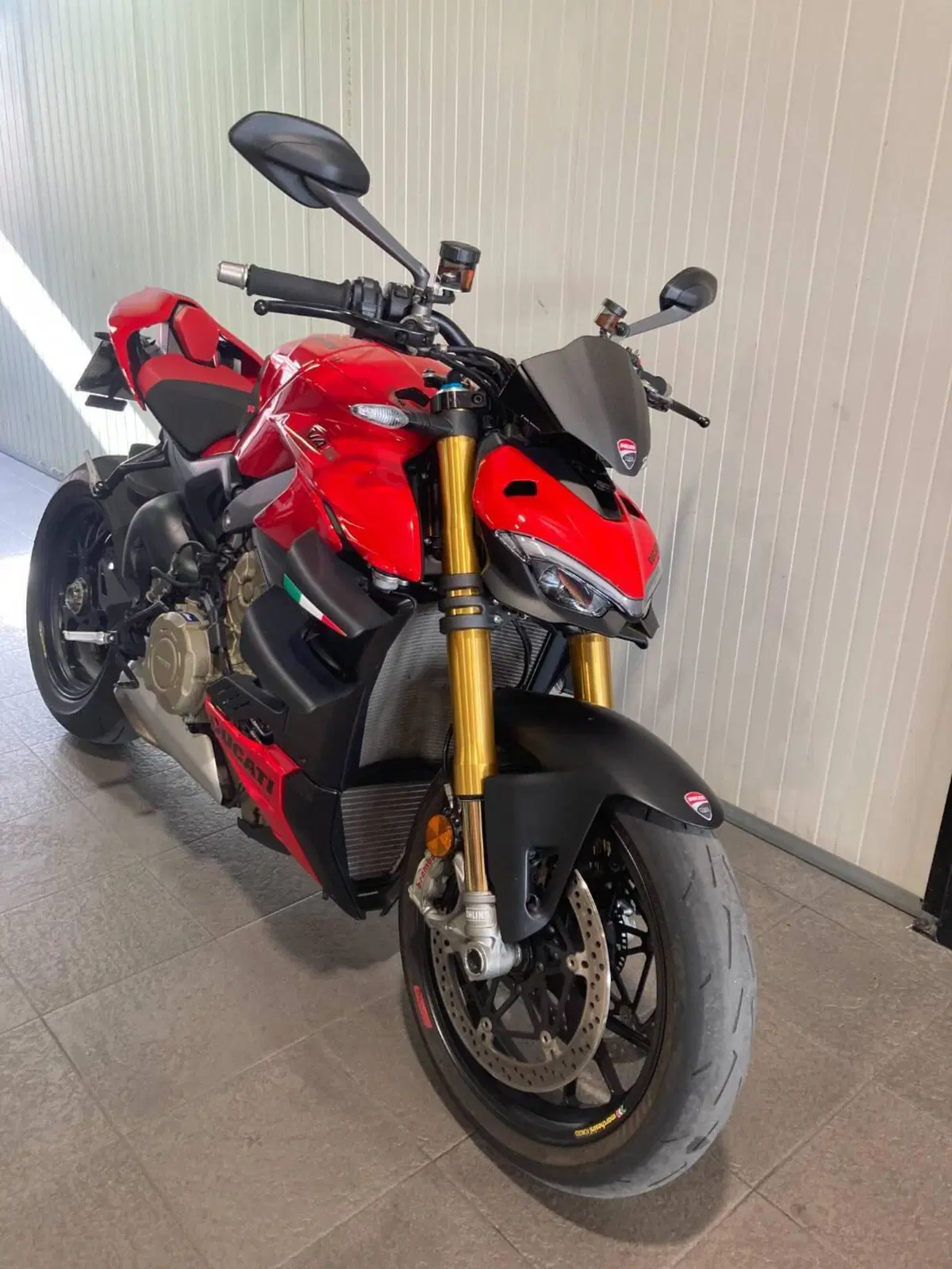 Ducati Streetfighter V4 S (2023 - 24) (7)