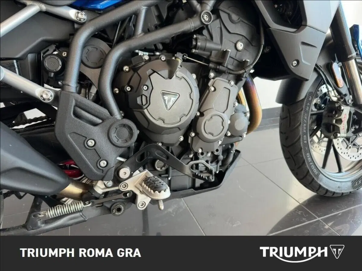 Triumph Tiger 900 GT Pro (2020 - 23) (7)