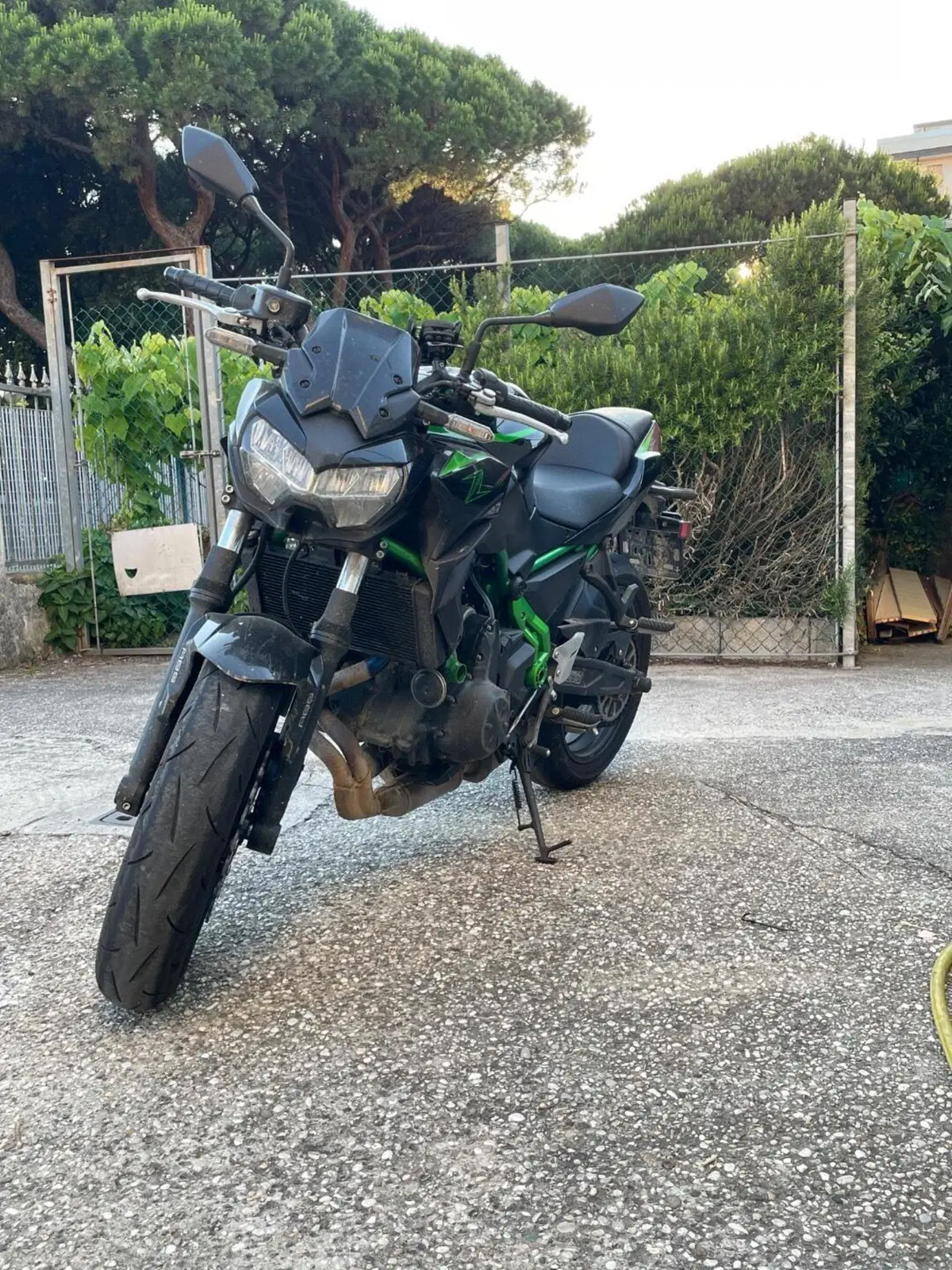 Kawasaki Z 650 (2025 - 26)