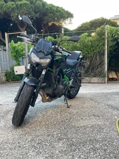 Kawasaki Z 650 (2025 - 26) usata
