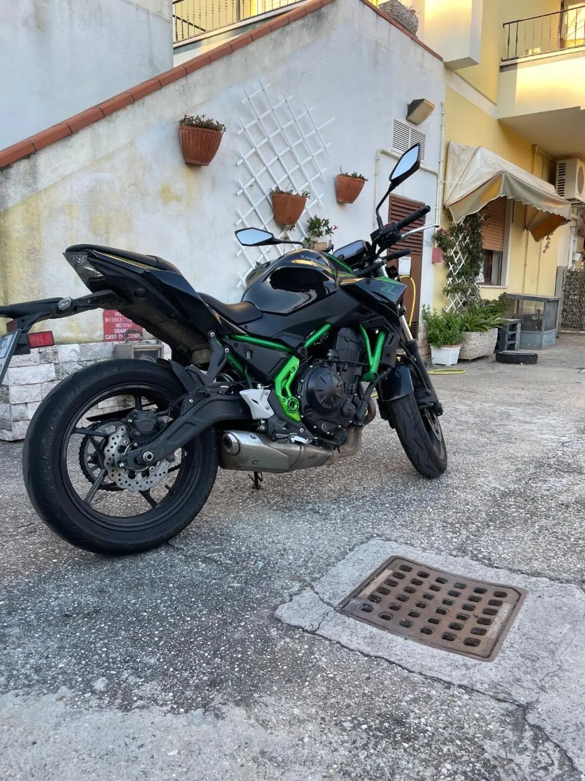 Kawasaki Z 650 (2025 - 26) (4)