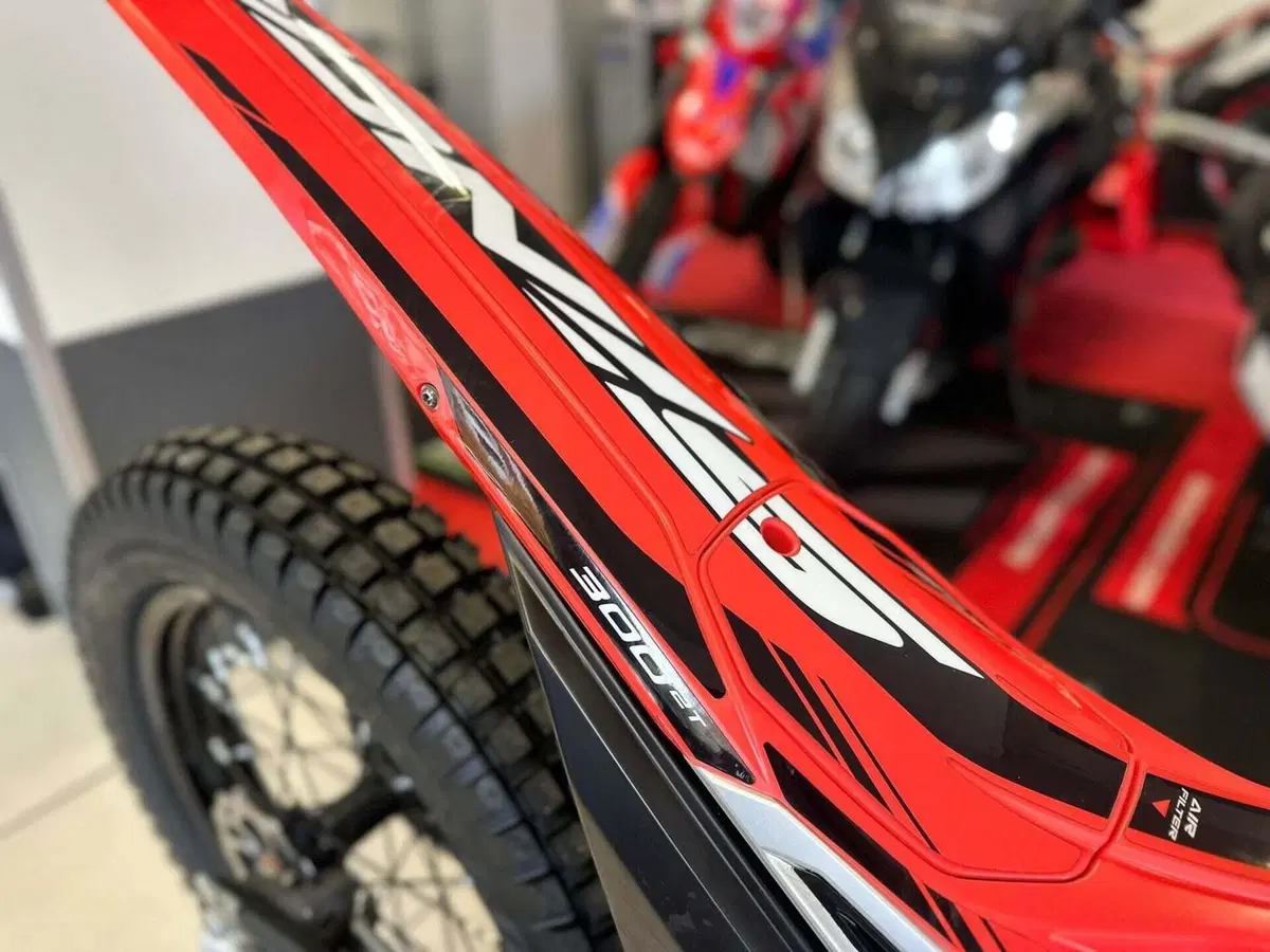 Betamotor Evo 300 2T (2025) (14)