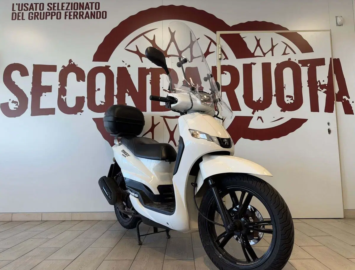 Peugeot Tweet 125i Cargo (2022 - 25) (2)