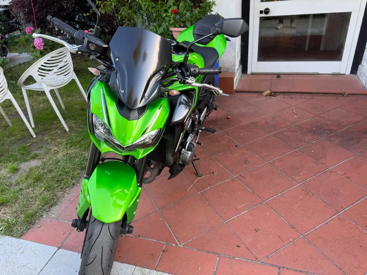 Kawasaki Z 900 (2017 - 18) (3)